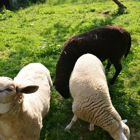 Apartamento Xavers Ranch Meschede